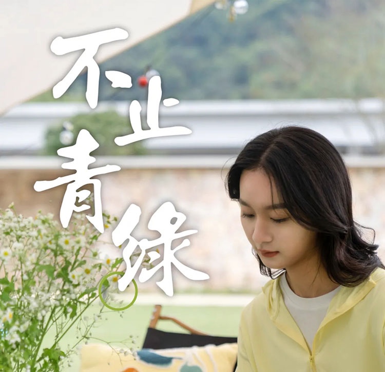 不止青绿，邂逅生活新色调