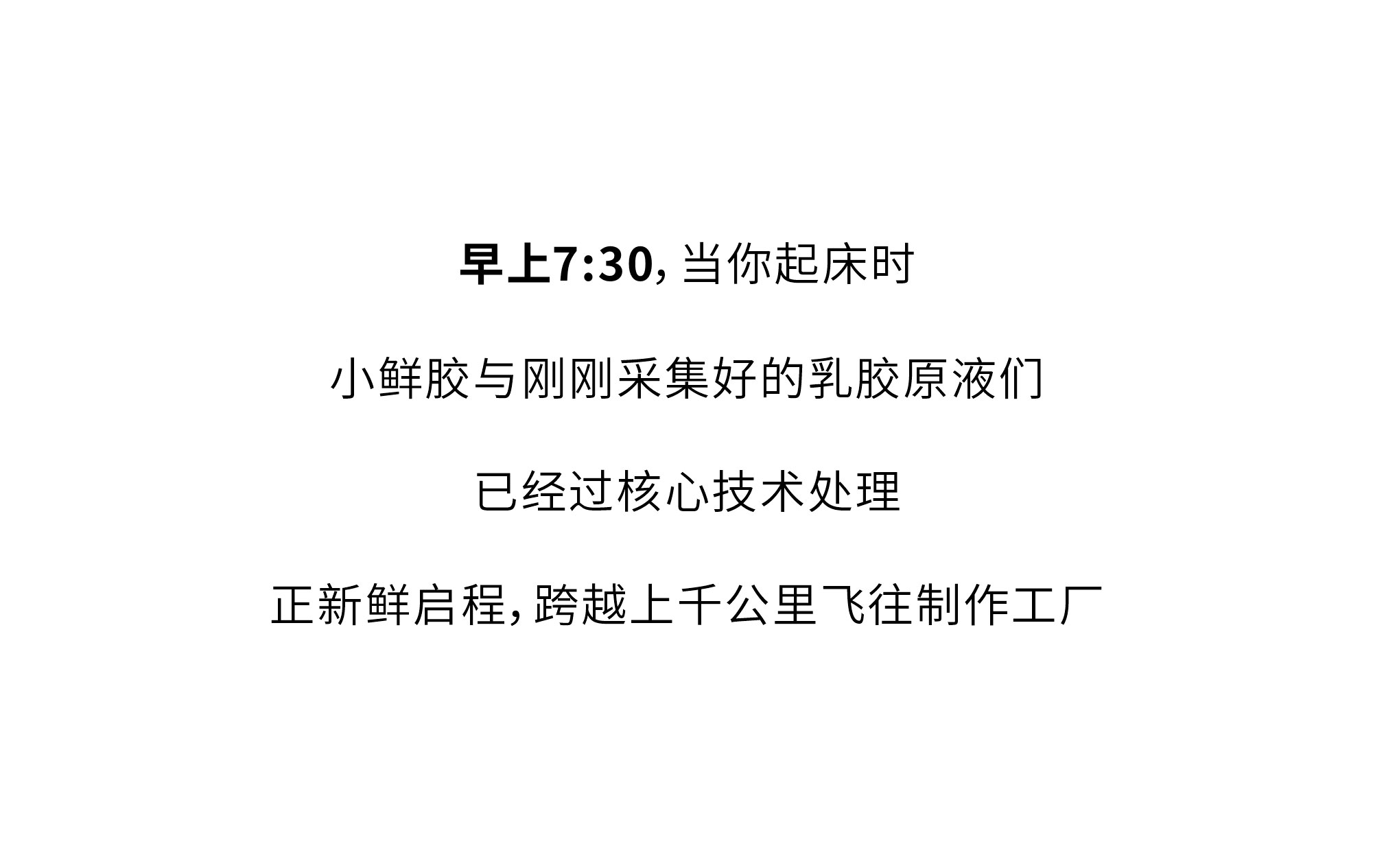 欢迎和小鲜胶一起，每天睡好觉！
