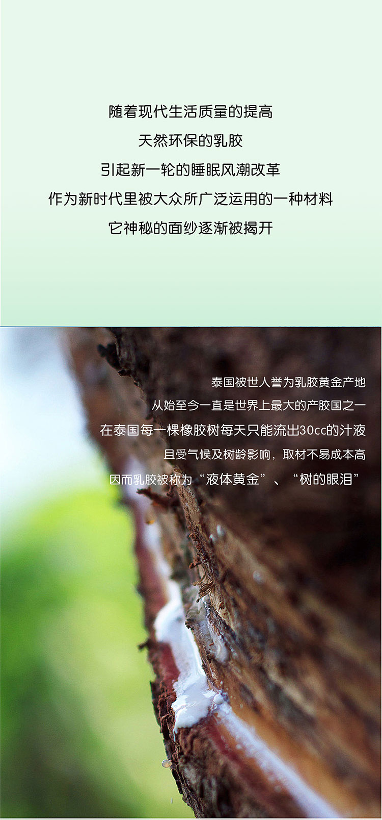 欢迎和小鲜胶一起，每天睡好觉！