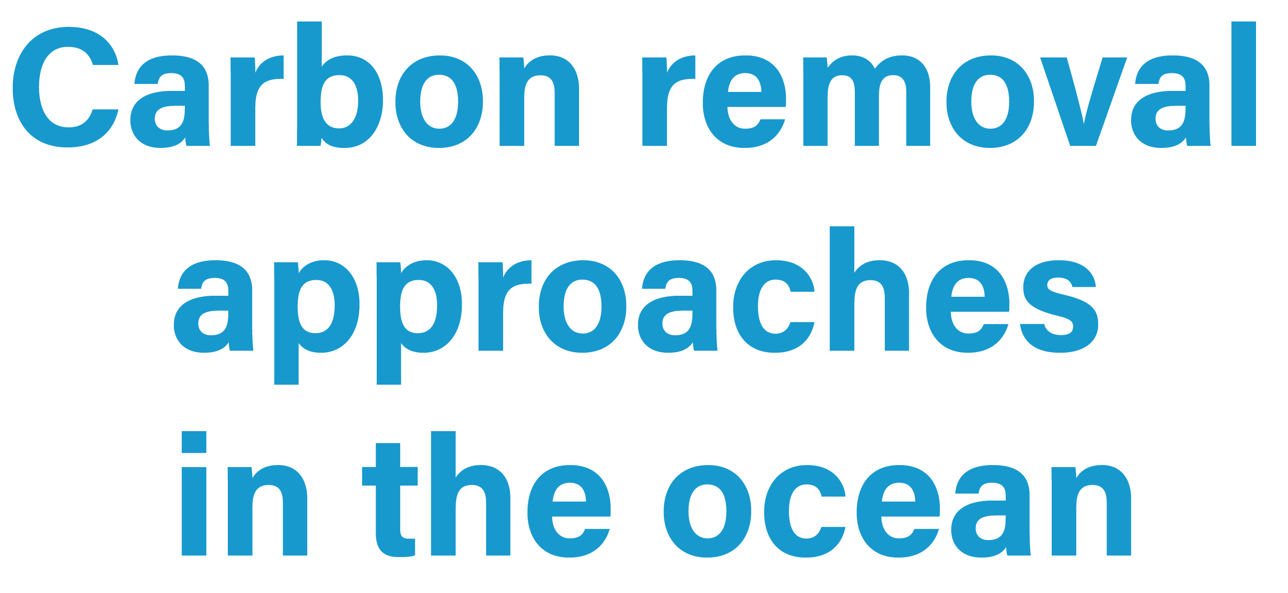 海洋中的碳去除方法