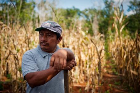 Francisco Tuno是Tabi Mayan社区的农民