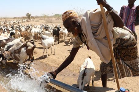 2016年，三个雨季的失败让埃塞俄比亚遭遇了50年来最严重的干旱。对于牧民来说，没有水，他们的牲畜就没有牧场，没有牲畜，他们的孩子就没有牛奶，更不用说肉和收入了。