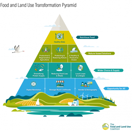 一幅描绘金字塔的图表，说明了粮食和土地利用部门的不同转型水平。