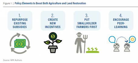 图1摘自报告，显示了促进农业和土地恢复的政策要素:调整农业补贴用途;创造新的激励措施。把小农放在第一位。鼓励同行学习
