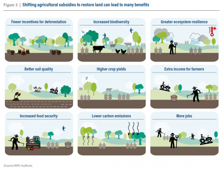 图3来自报告，显示了将农业补贴转移到土地恢复的9个好处:减少对森林砍伐的激励，增加生物多样性，增强生态系统的韧性，改善土壤质量，提高作物产量，增加农民收入，增强粮食安全，降低碳排放，增加就业机会