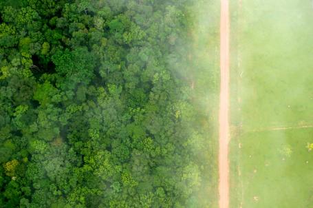 鸟瞰巴西阿克的里约热内卢Branco附近的森林和农业景观之间的鲜明对比。摄影:Kate Evans/CIFOR