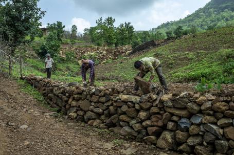 三名男子在印度纳尔默达区建造石堤。