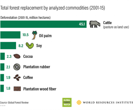 被商品取代的森林数量