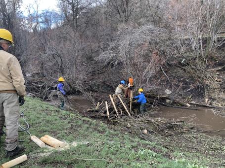 森林工人正在修复大坝