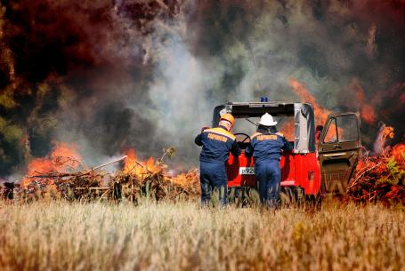 俄罗斯巴尔瑙尔，消防员正在与森林大火搏斗