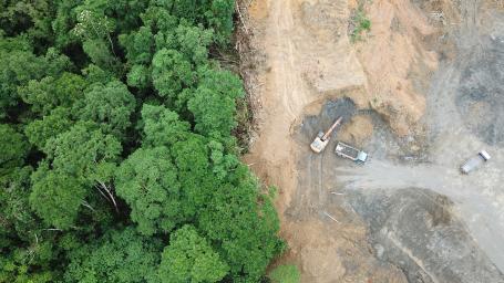 马来西亚森林砍伐活动的航拍照片