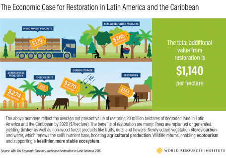 树木恢复拉丁美洲加勒比。png