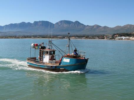 南非的渔船。图片由coda/Wikimedia Commons提供