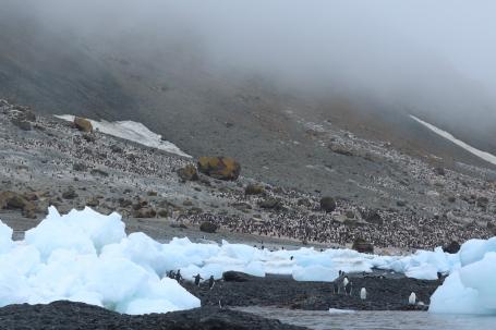 气温升高导致冰层融化，南极大陆周围的海水变暖。Kelly Levin/WRI拍摄