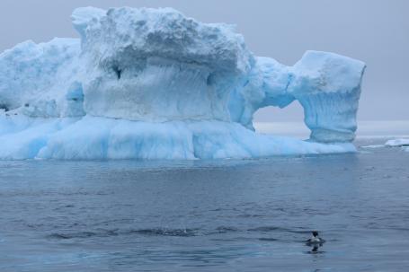 在过去四十年中，南极冰盖的冰流失速度迅速加快。Kelly Levin/WRI拍摄