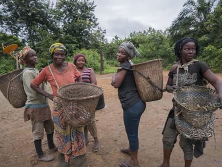 刚果共和国的这些村民依靠刚果盆地森林获得食物和生计。图片来源:Molly Bergen/WRI