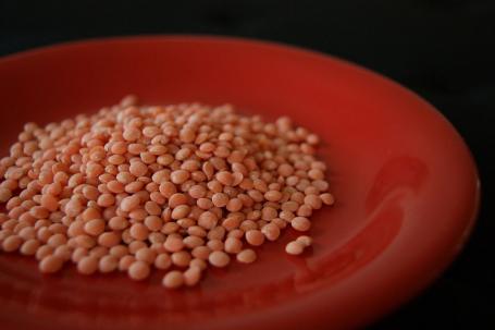 一种新的作物变异可以使农民在水稻生长季节之间种植扁豆，使他们的营养和收入来源多样化。图片来源:Wikimedia Commons