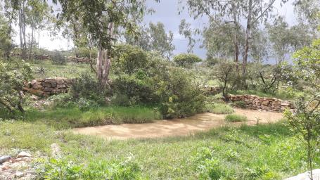 埃塞俄比亚各地的国营和私营企业正在恢复土地，创造就业机会。图片来源:Meseret Shiferaw/WRI