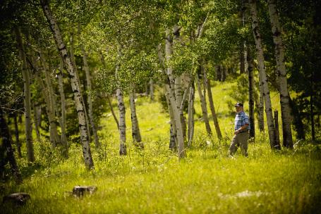 私人土地所有者——比如明尼苏达州克兰西附近的这位男子——可以在联邦保护项目的额外支持下恢复健康的森林生态系统。图片来自美国农业部蒙大拿州NRCS /Unsplash
