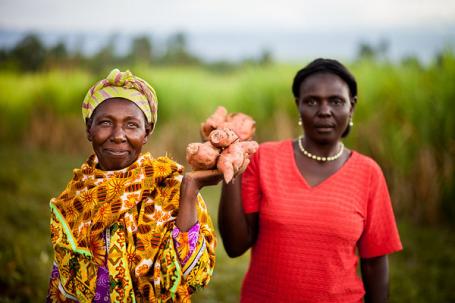 美国国际开发署的肯尼亚妇女种植有营养的作物