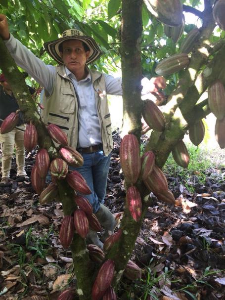 Victor Combita，如图所示，在哥伦比亚San José del Guaviare和其他几百名农民一起经营着一个可持续的可可合作社。