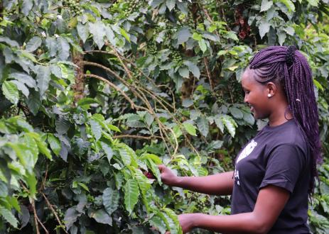 非洲妇女照顾农业用地