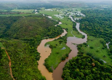 阿里尔拍摄了巴西的一条河