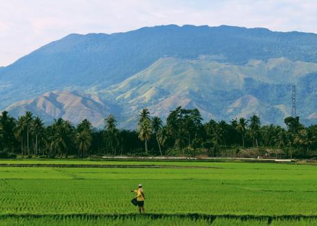Farmer standing in field with mountains in backdrop